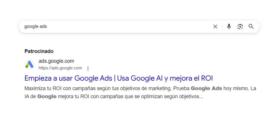 Ejemplo de Google